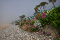 GA127 In The Mist Langland Bay